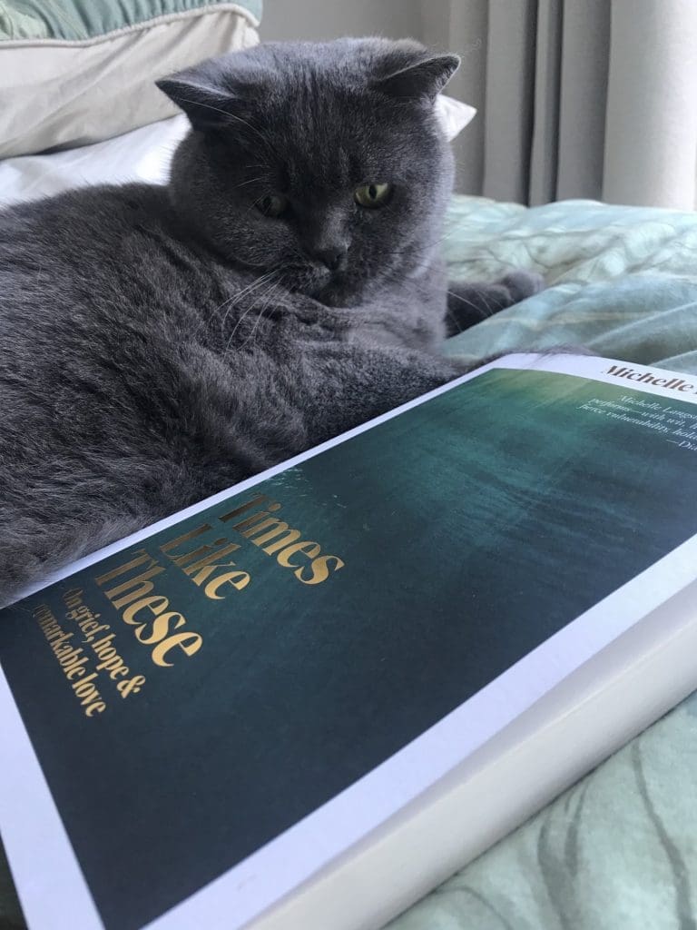 Michelle Langstone's cat with her book